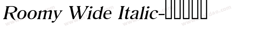 Roomy Wide Italic字体转换